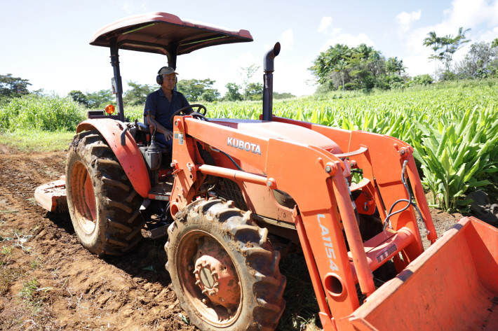 KS collaborates on Mahi‘ai Match-Up to build resilient economies