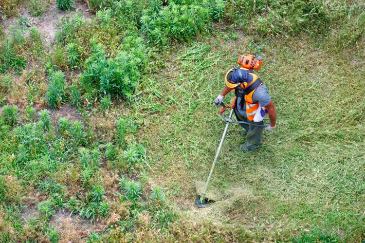 Wildfire safety in Hawaiʻi: What every ʻohana needs to know