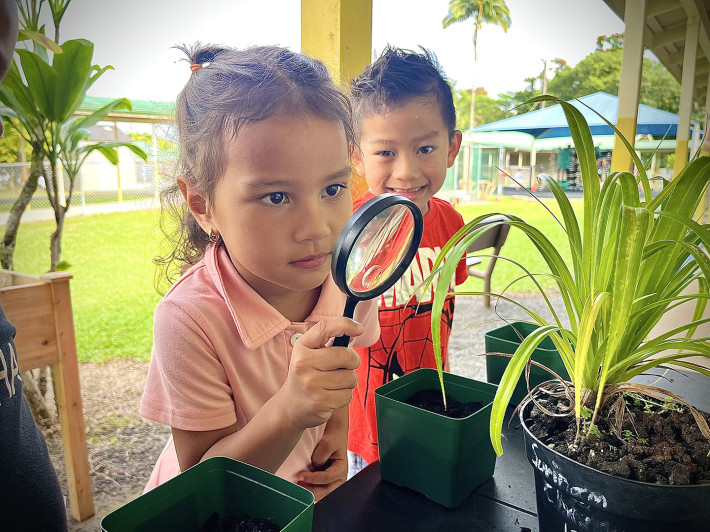 East Hawaiʻi preschools build connection with ʻāina