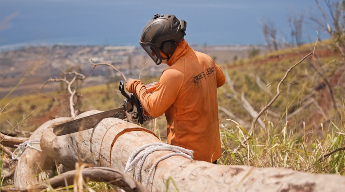 Removing invasive trees sets Kuʻia on a new path